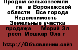 Продам сельхозземли ( 6 000 га ) в Воронежской области - Все города Недвижимость » Земельные участки продажа   . Марий Эл респ.,Йошкар-Ола г.